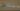 Google Pixel 12