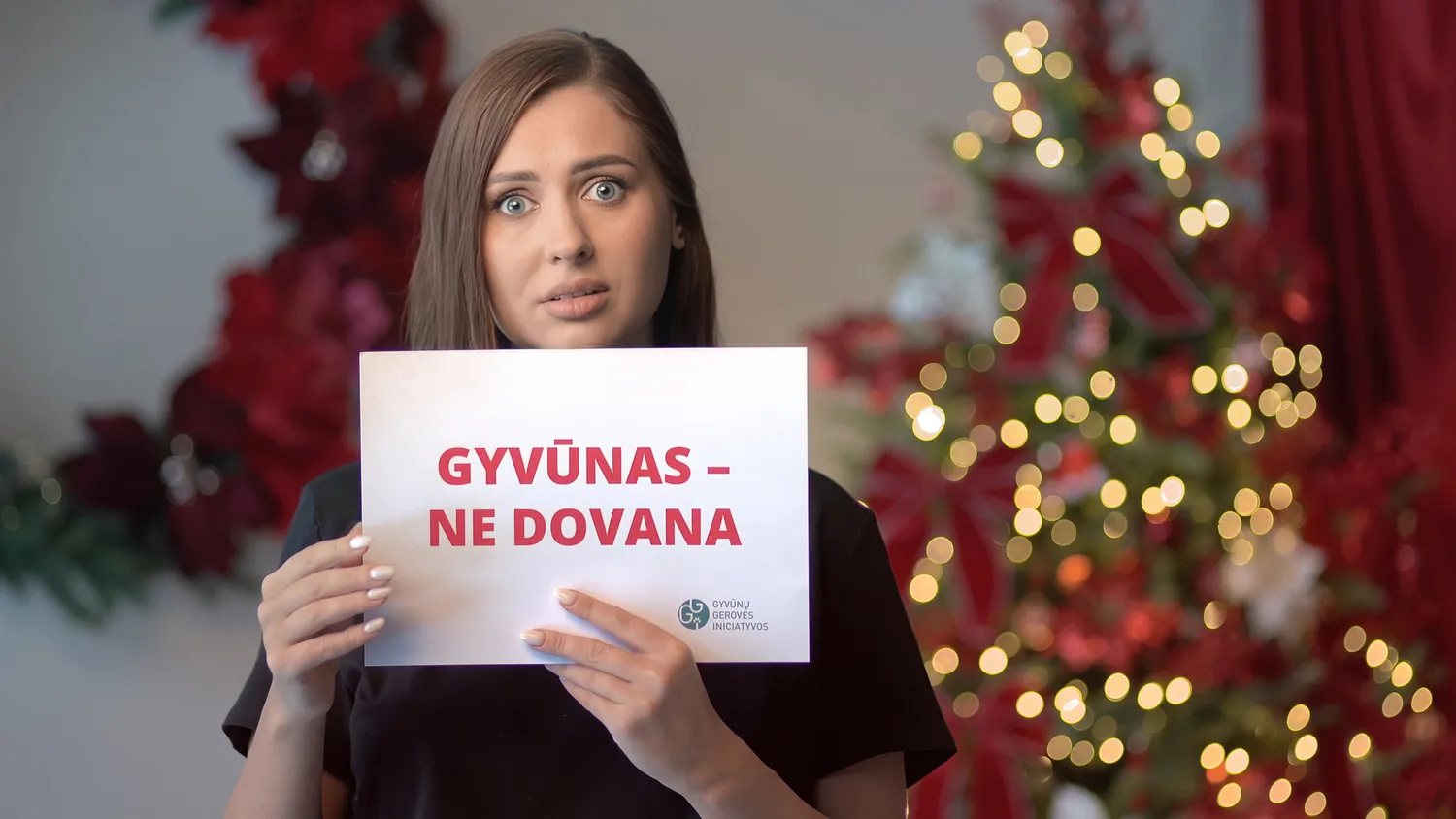 Gyvunas ne dovana H 07