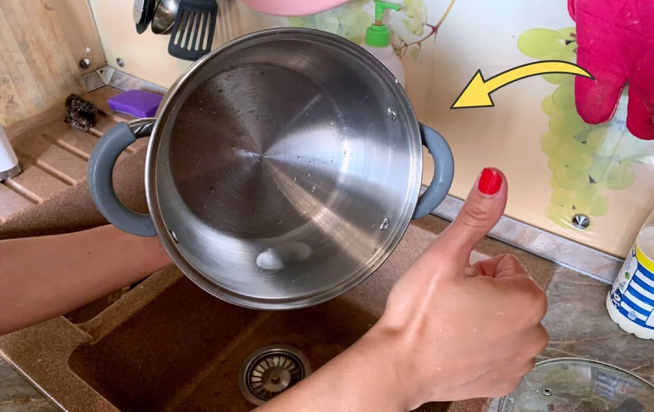 Išmokau plauti indus be kempinės per 5 minutes