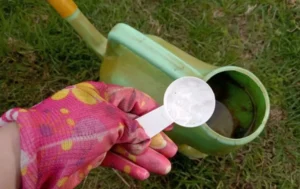 Ištirpinkite tai vandenyje