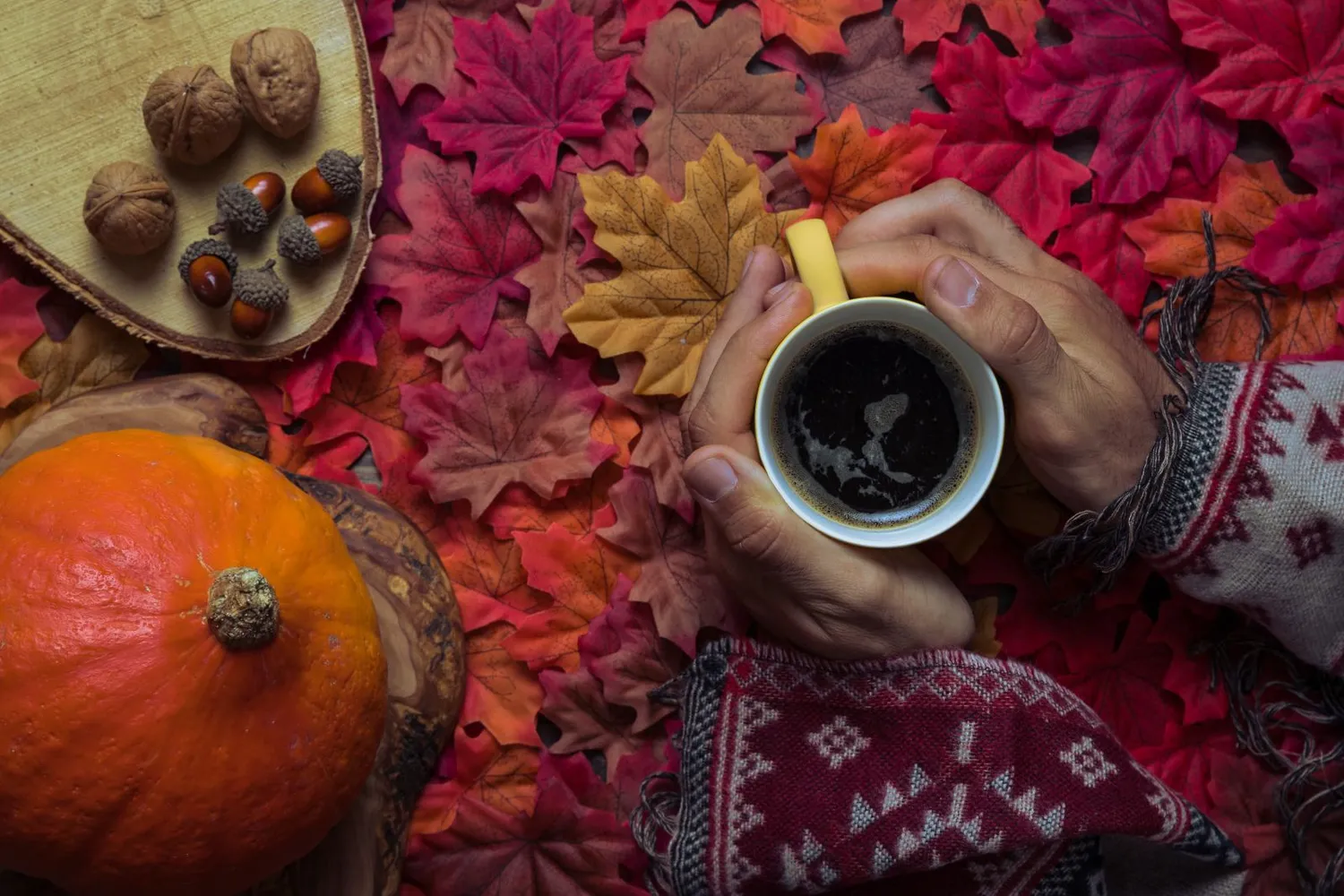 Jūsų dienos horoskopas rudenį