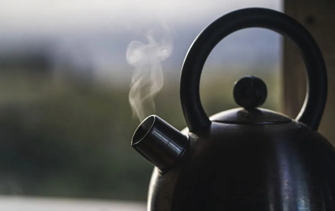 Kaip išvalyti virdulį nuo apnašų