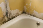 Kaip panaikinti pelėsį vonioje