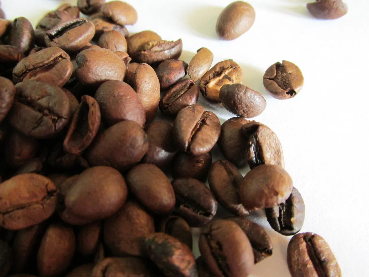 Kavos pupelės padeda neutralizuoti kvapus