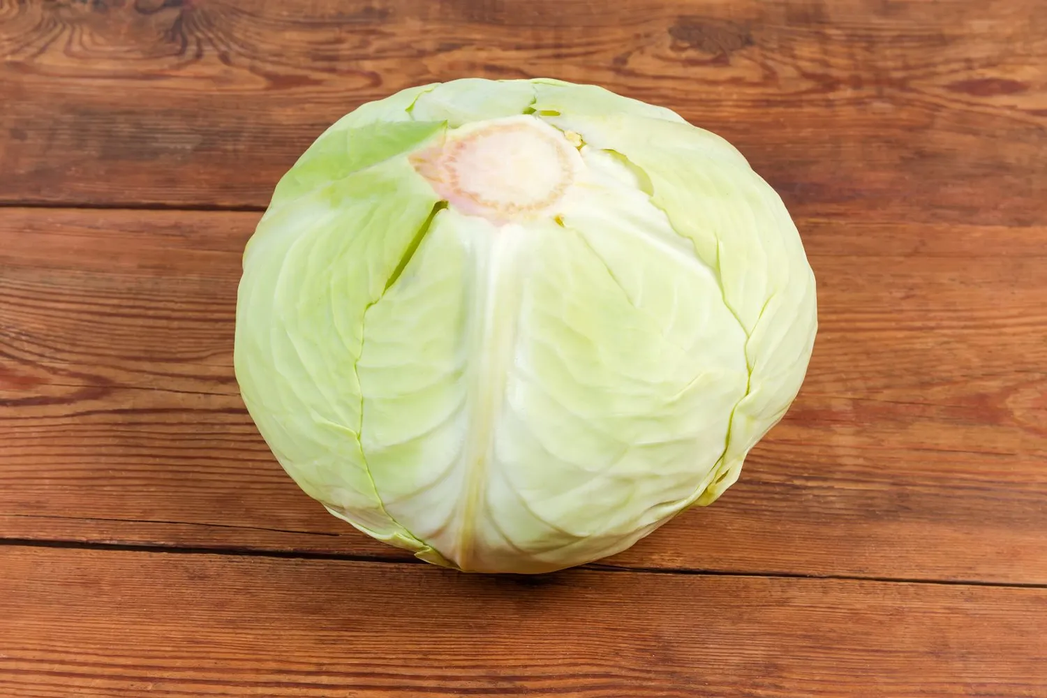 Kopūsto galva
