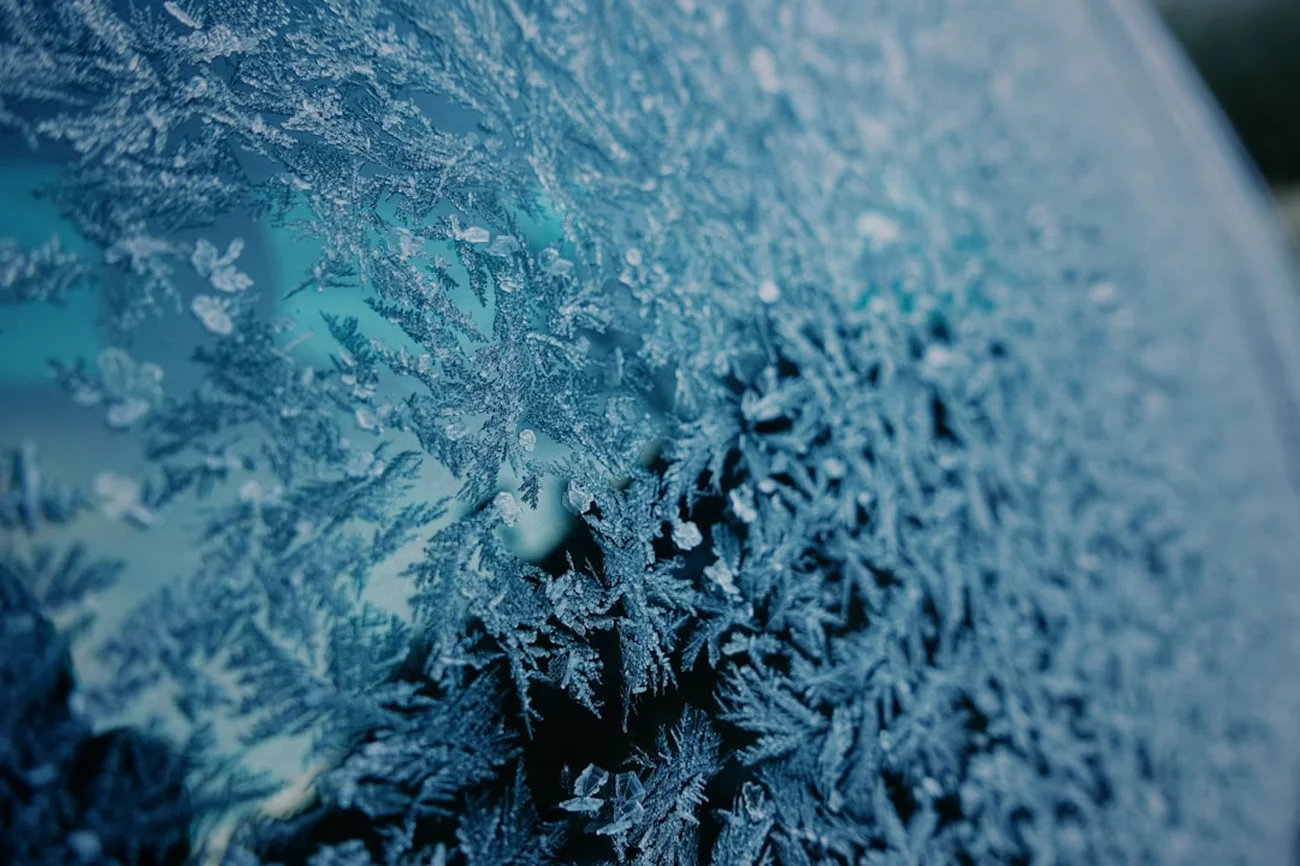 Langai pasidengę šerkšnu