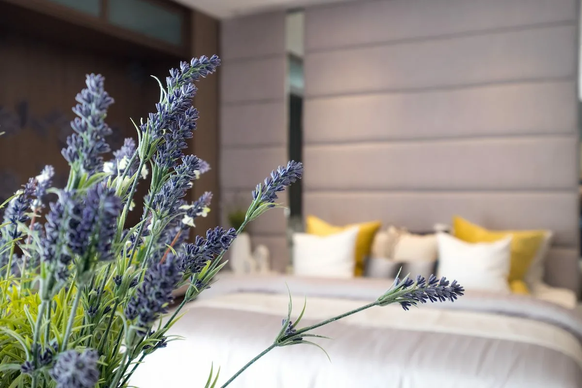 Levandos jūsų namuose