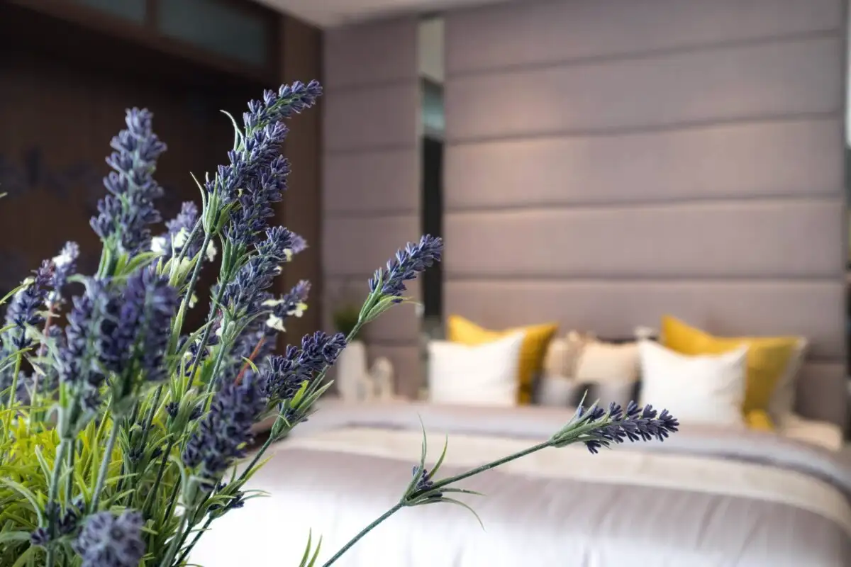 Levandos privalo būti jūsų miegamajame