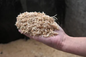 Medžio pjuvenos mulčiui