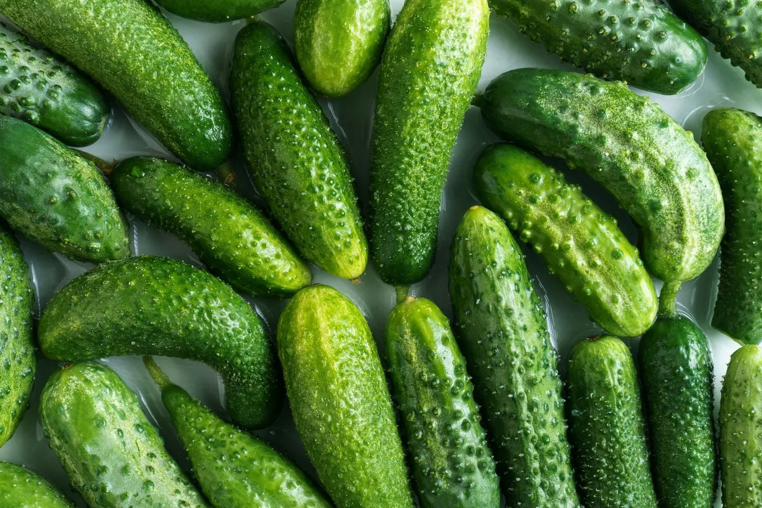 Nitratai agurkuose