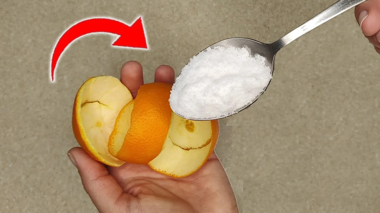 Padėjau dubenėlį druskos ir apelsino žievelių prie radiatoriaus