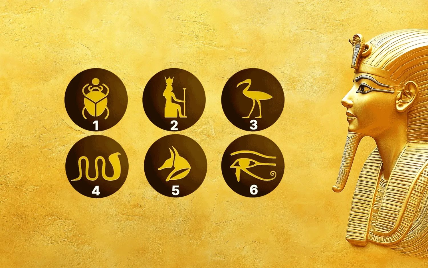 Pasirinkite vieną simbolį