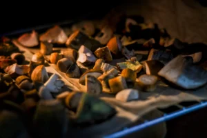 Po džiovinimo grybai pasidarė kartūs