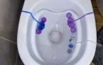 Prieš darbą įmečiau vieną „daiktą“ į tualeto bakelį