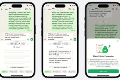 Private Writing Help