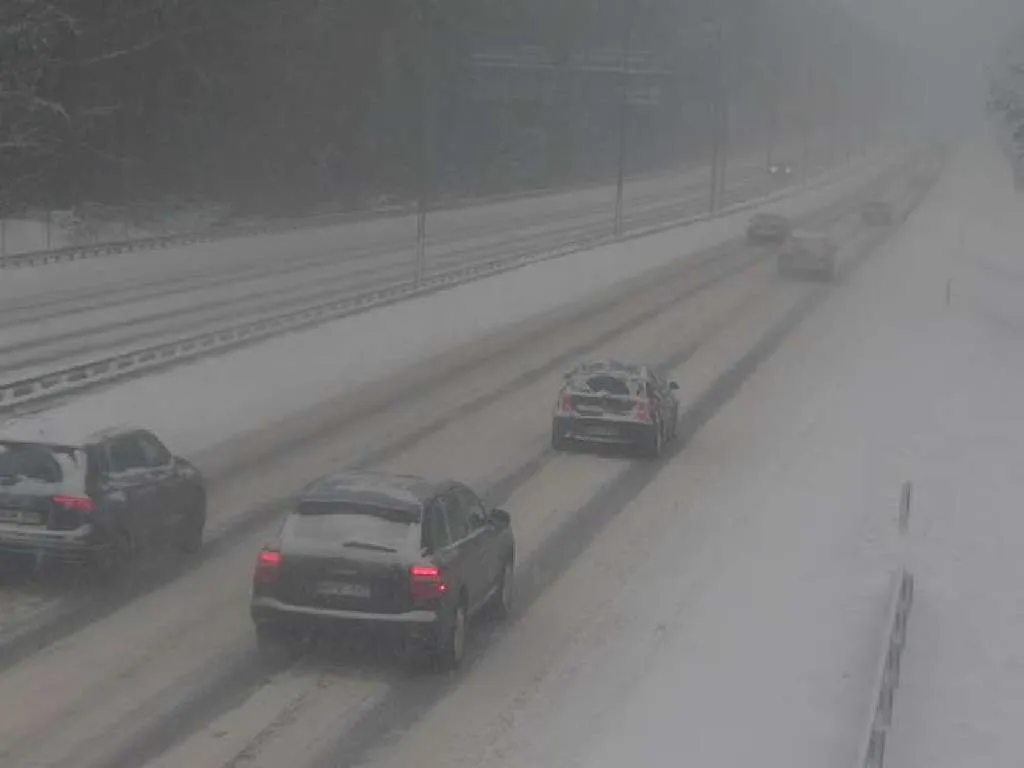 Pūga Vilniaus rajone / Facebook.com / Liudas Baronas nuotr.