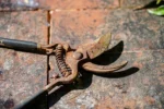 Rūdys ant įrankių / shutterstock.com