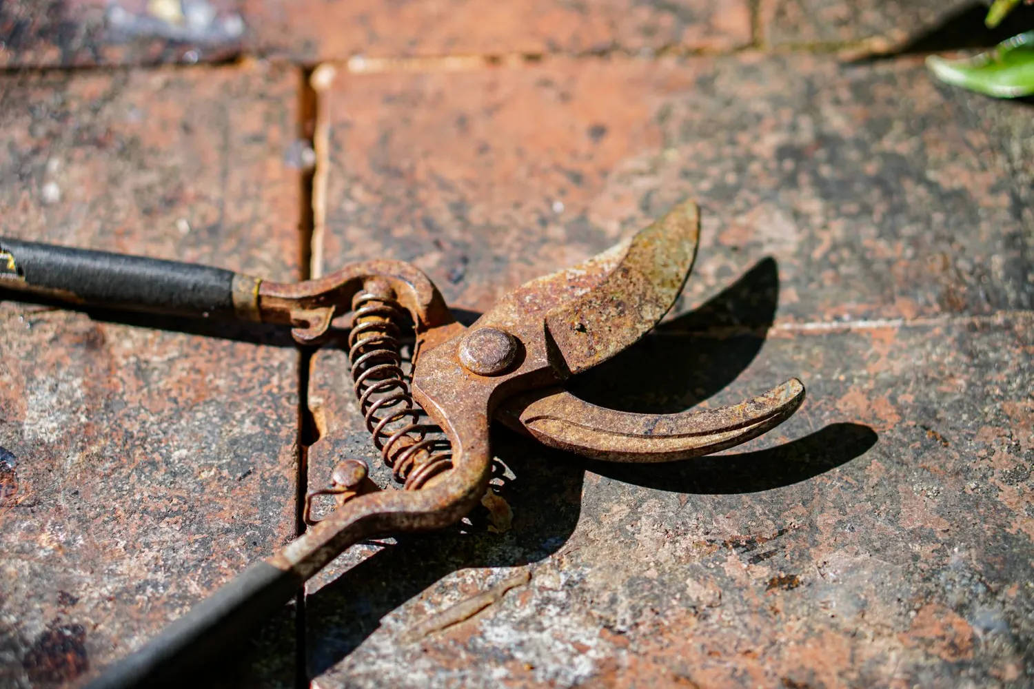 Rūdys ant įrankių / shutterstock.com