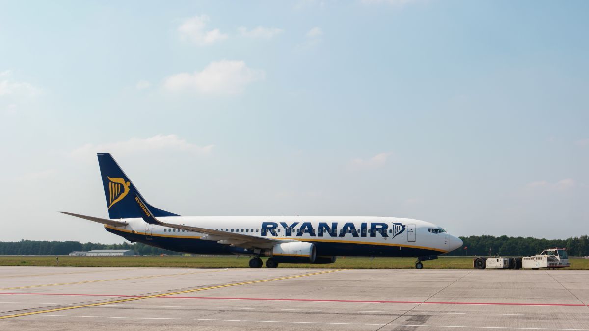 Ryanair incidentas / fokke baarssen / Shutterstock.com