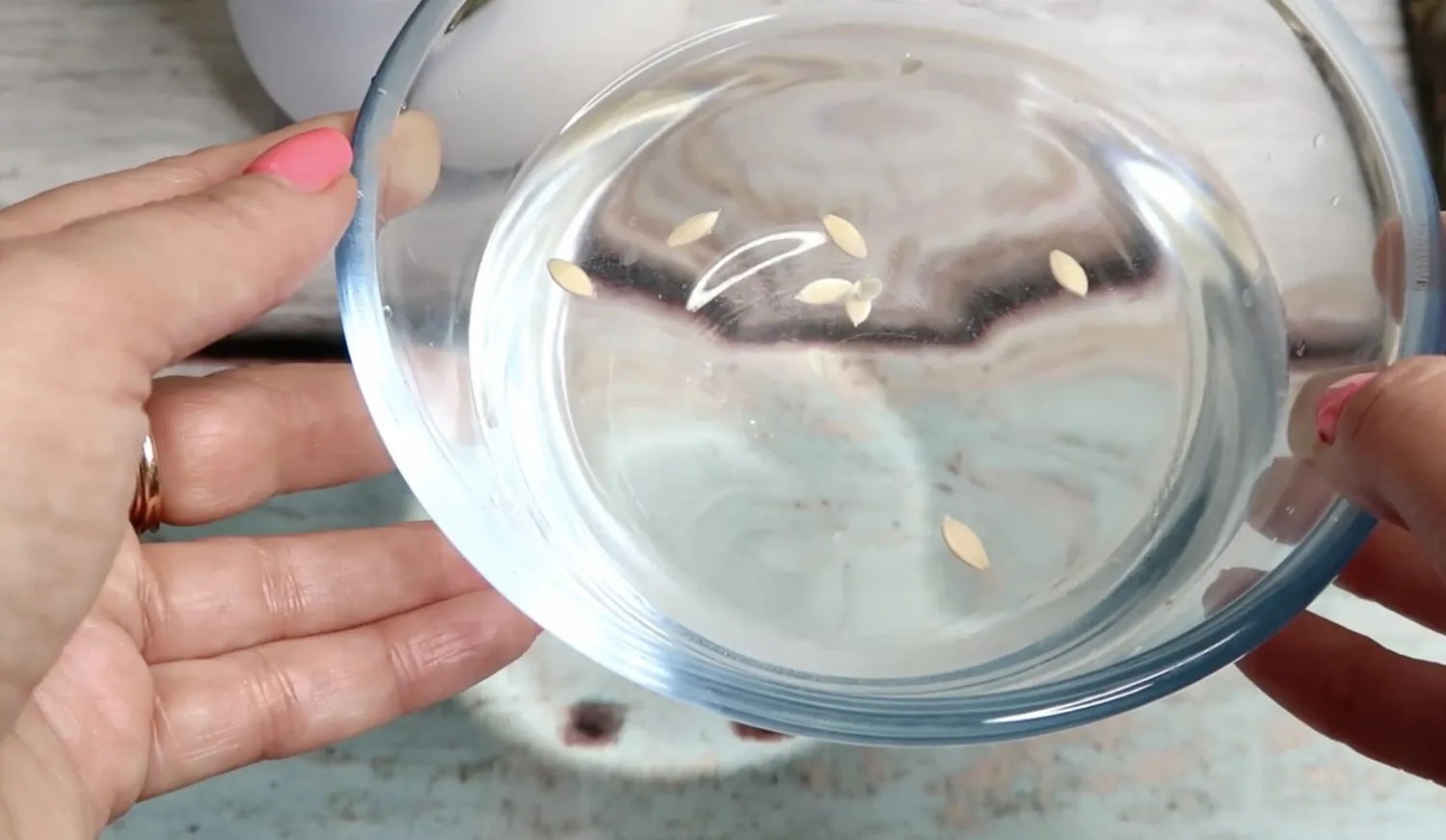 Sėklos sūriame vandenyje