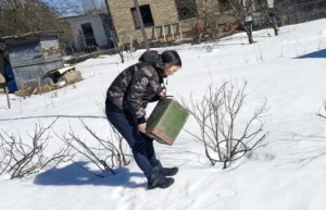 Šį mišinį barstau gruodį