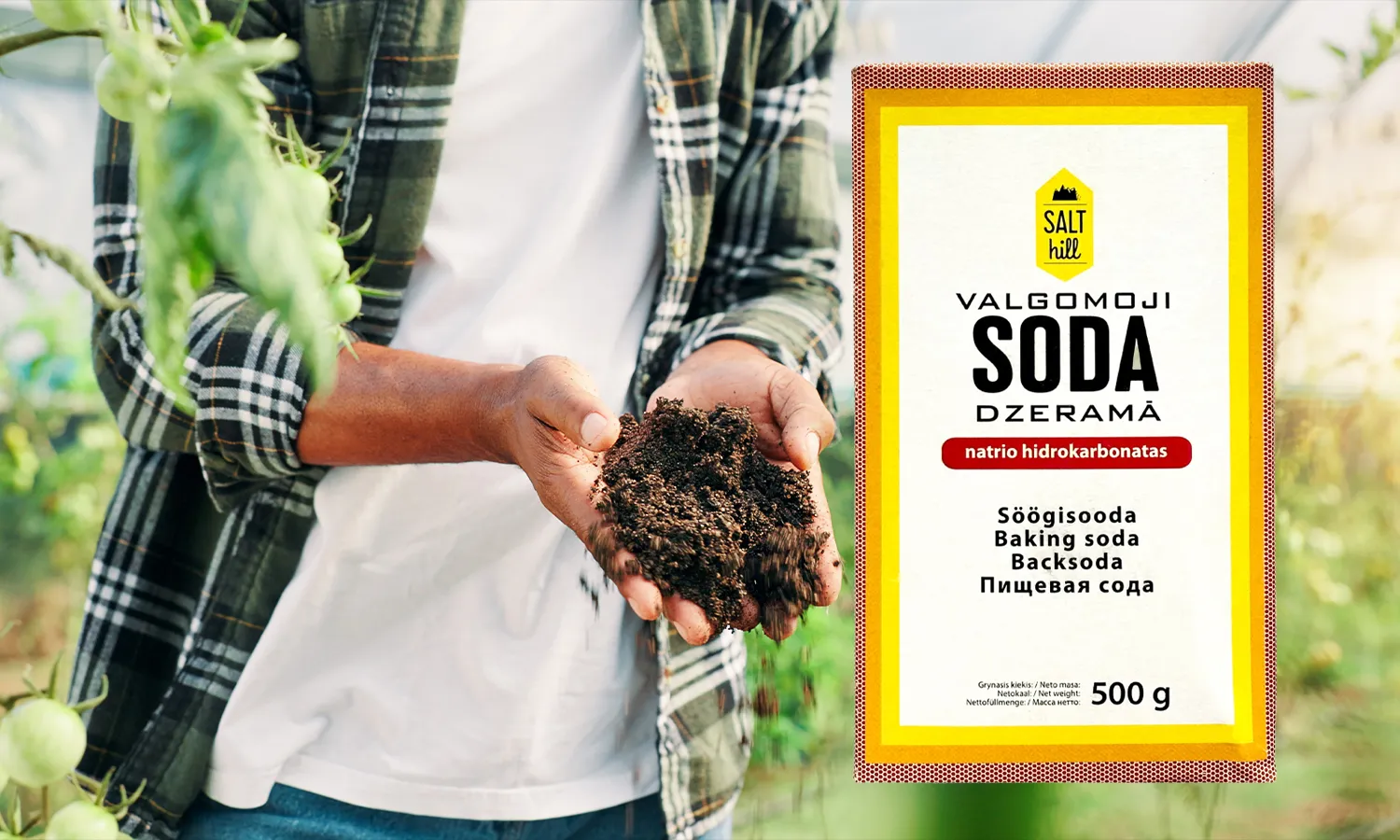 Soda kaip trąša