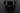 Spotify naujovės / Yalcin Sonat / Shutterstock.com