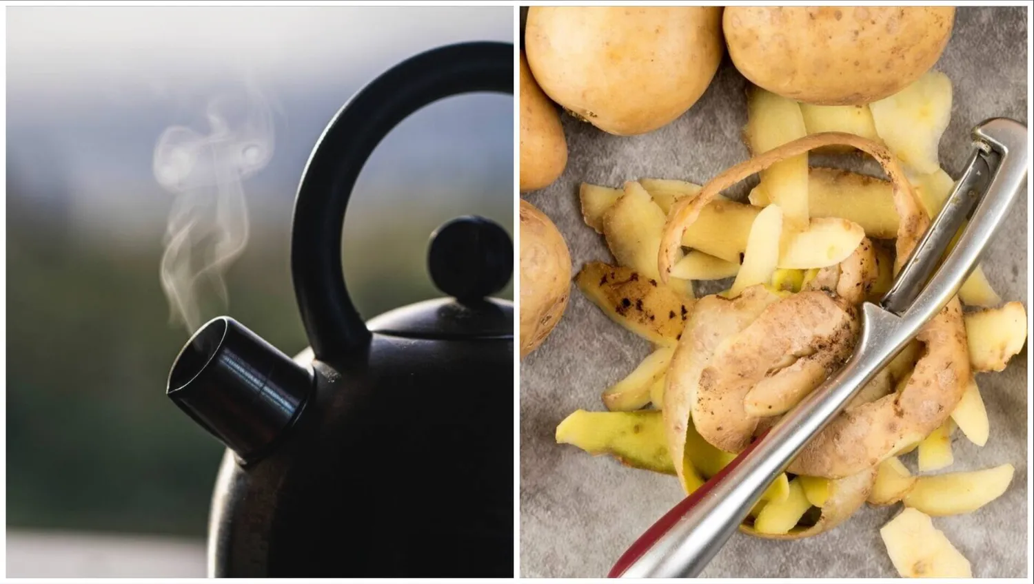 Švarus virdulys panaudojant bulvių lupenas