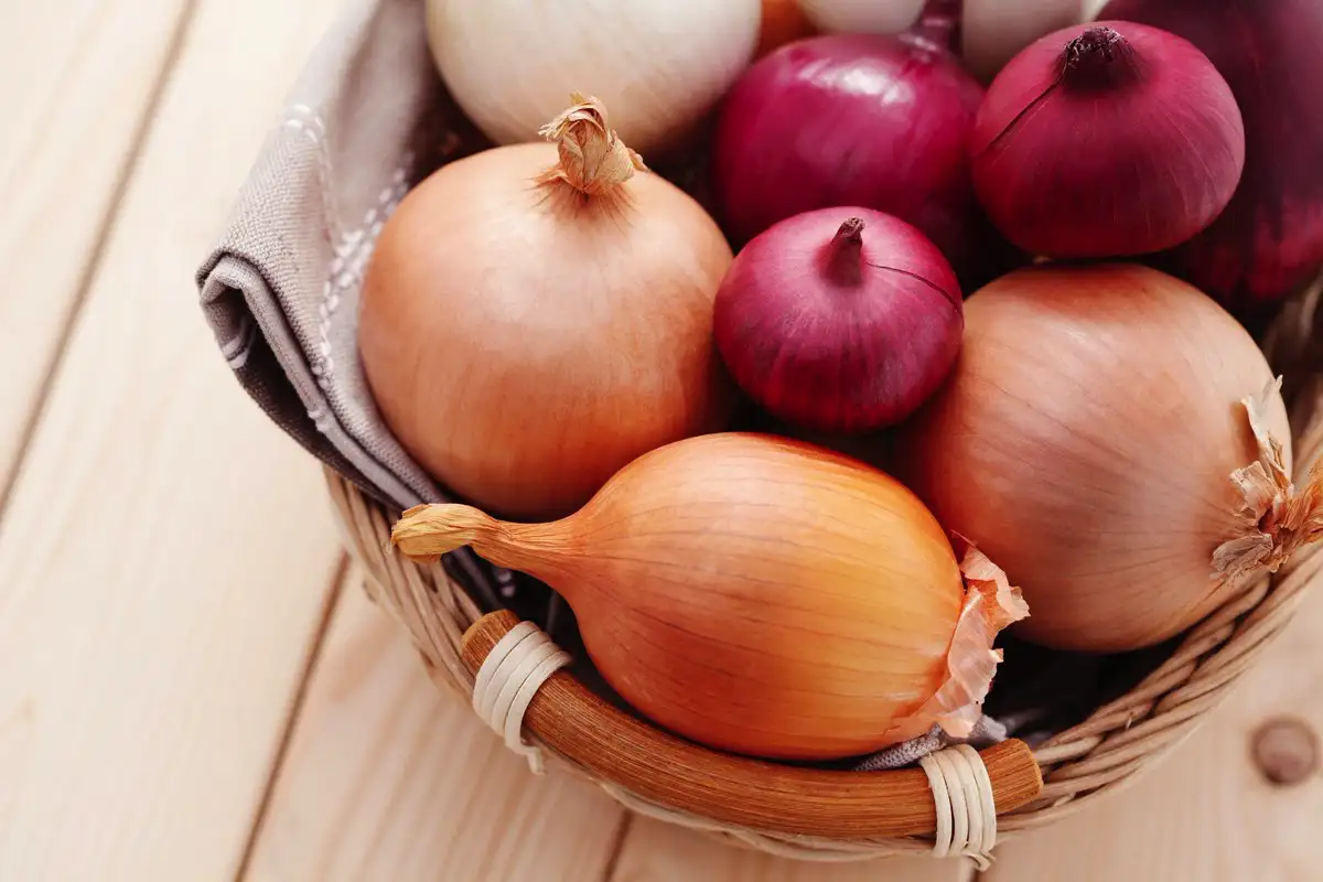 Svogūnas kovoja su nemaloniais kvapais