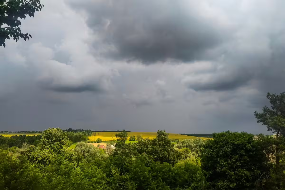 Tikra lietuviška vasara