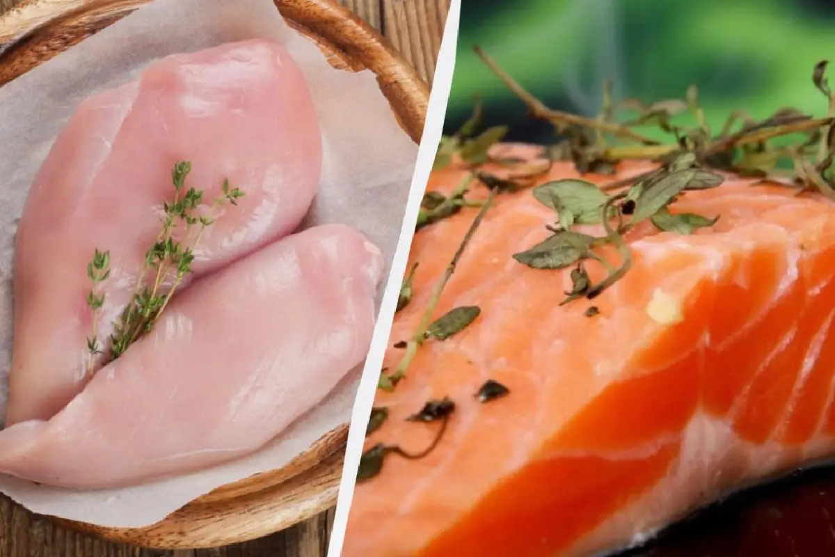 Vištiena ar lašiša