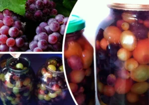 Vynuogės stiklainyje