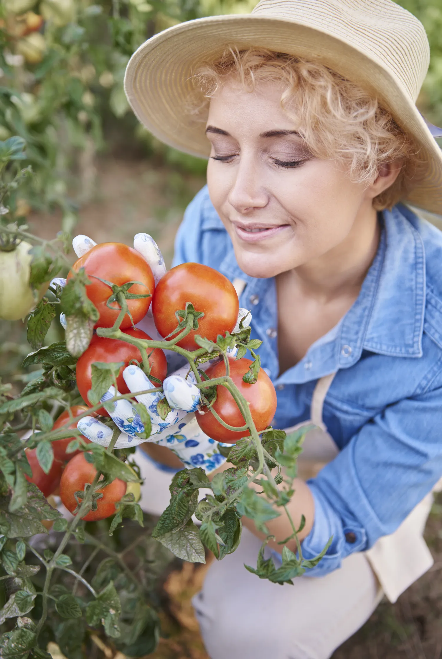 Sodinant pomidorus būtina išlaikyti tinkamus atstumus tarp augalų