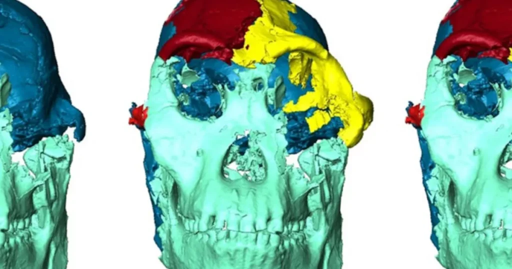 Mažoji Koja Veidas / Nuotrauka: ancient-origins.net (Brave)