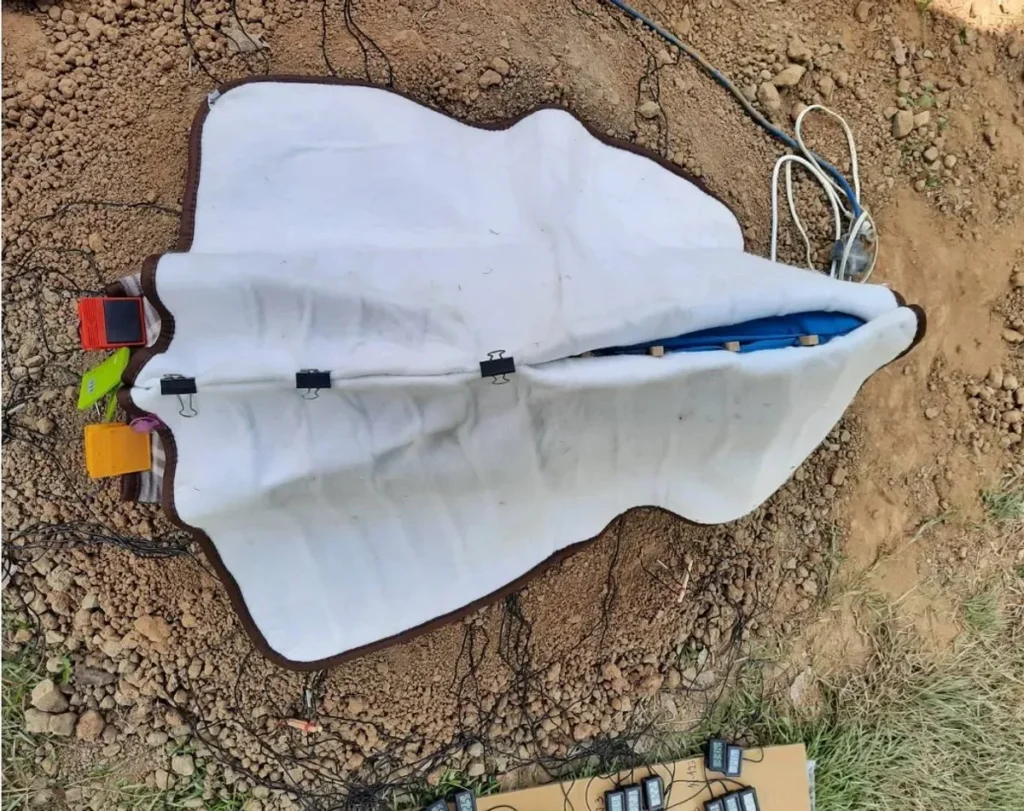 Pirmasis Pasaulyje Dinozauro Kiaušinių / Nuotrauka: t4.com.ua