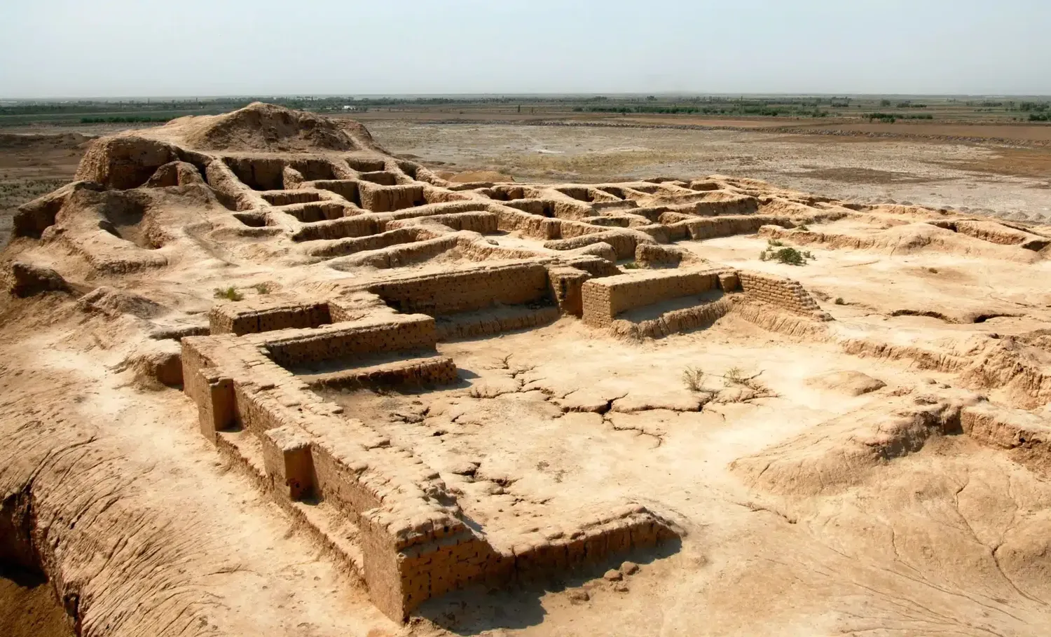 Atrasta Pamiršta Civilizacija Milžiniška / Nuotrauka: portaltele.com.ua