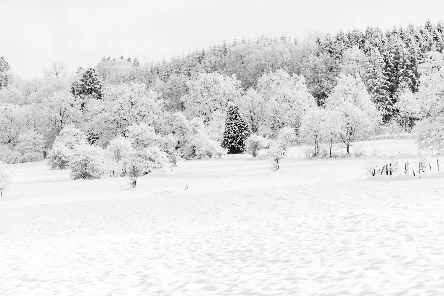 Šalčio ir sniego bangos