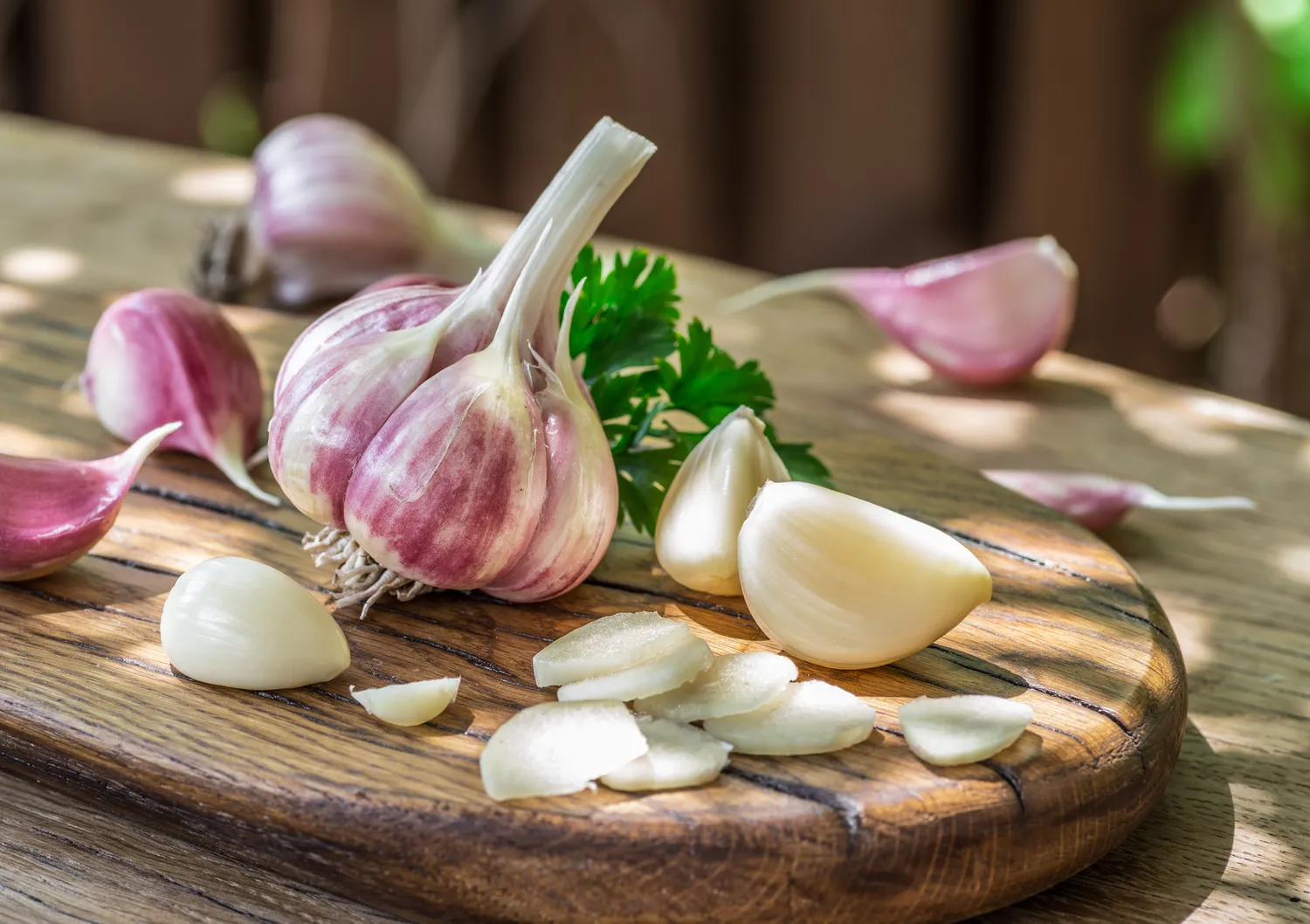 Pavasarinis česnakų tręšimas yra itin svarbus bei reikalingas