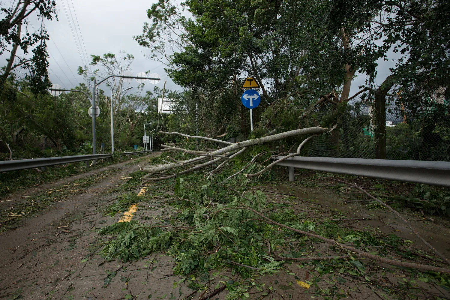 Taifūnas pridarė žalos