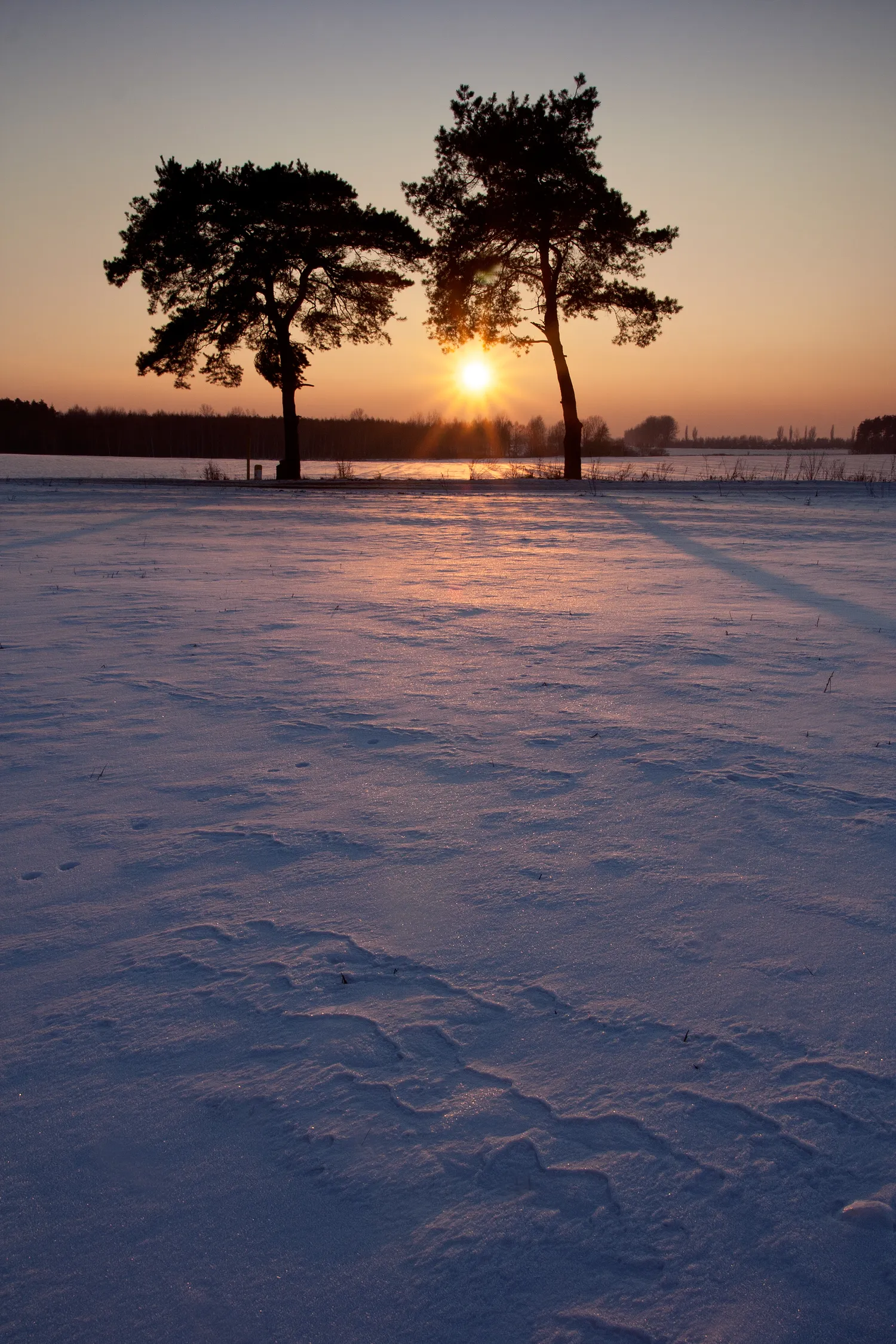 Žiemos saulėgrįža