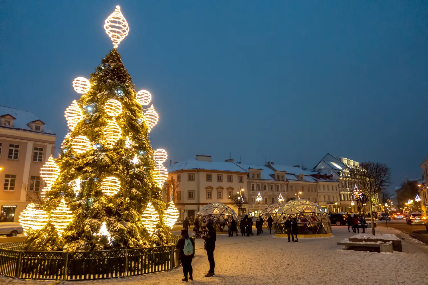 Kalėdinė eglė / Veja / Shutterstock.com