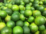 Calamansi