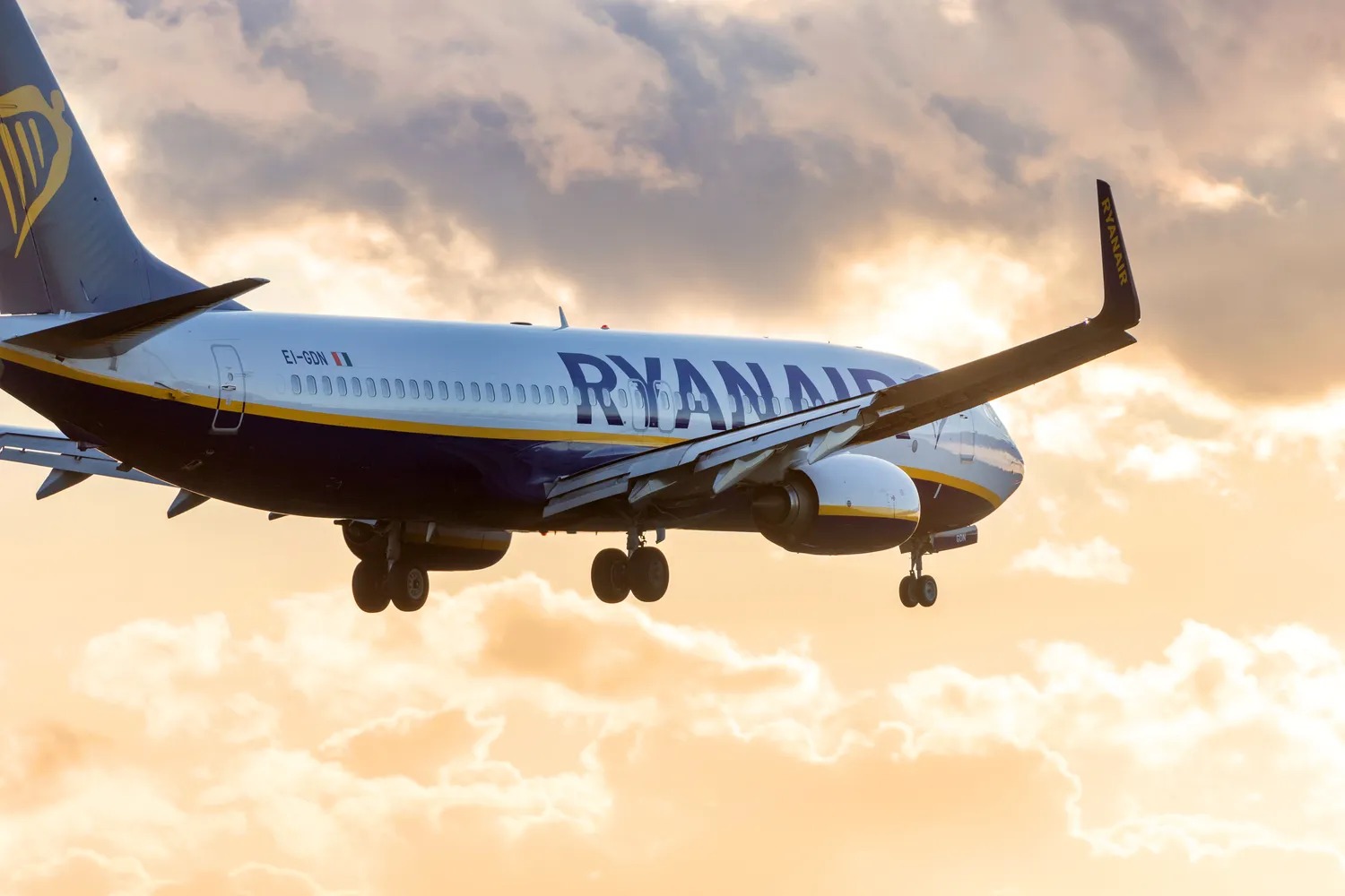 Italija skyrė „Ryanair“ 255 mln. eurų baudą / Tobias Arhelger / Shutterstock.com
