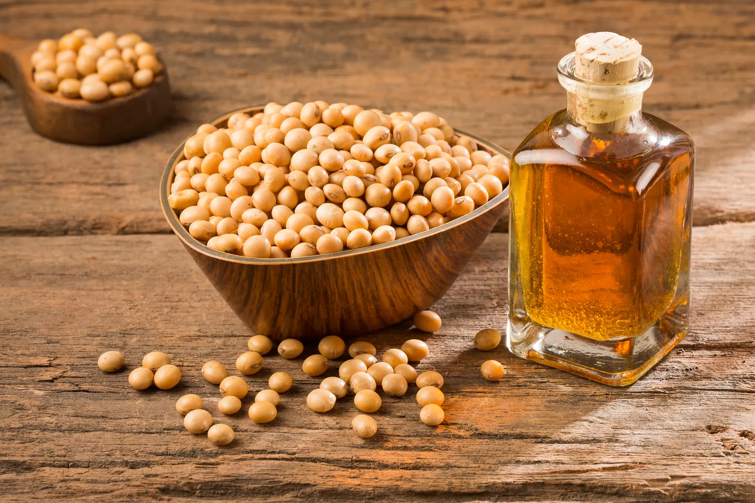 Sojų pupelių aliejus