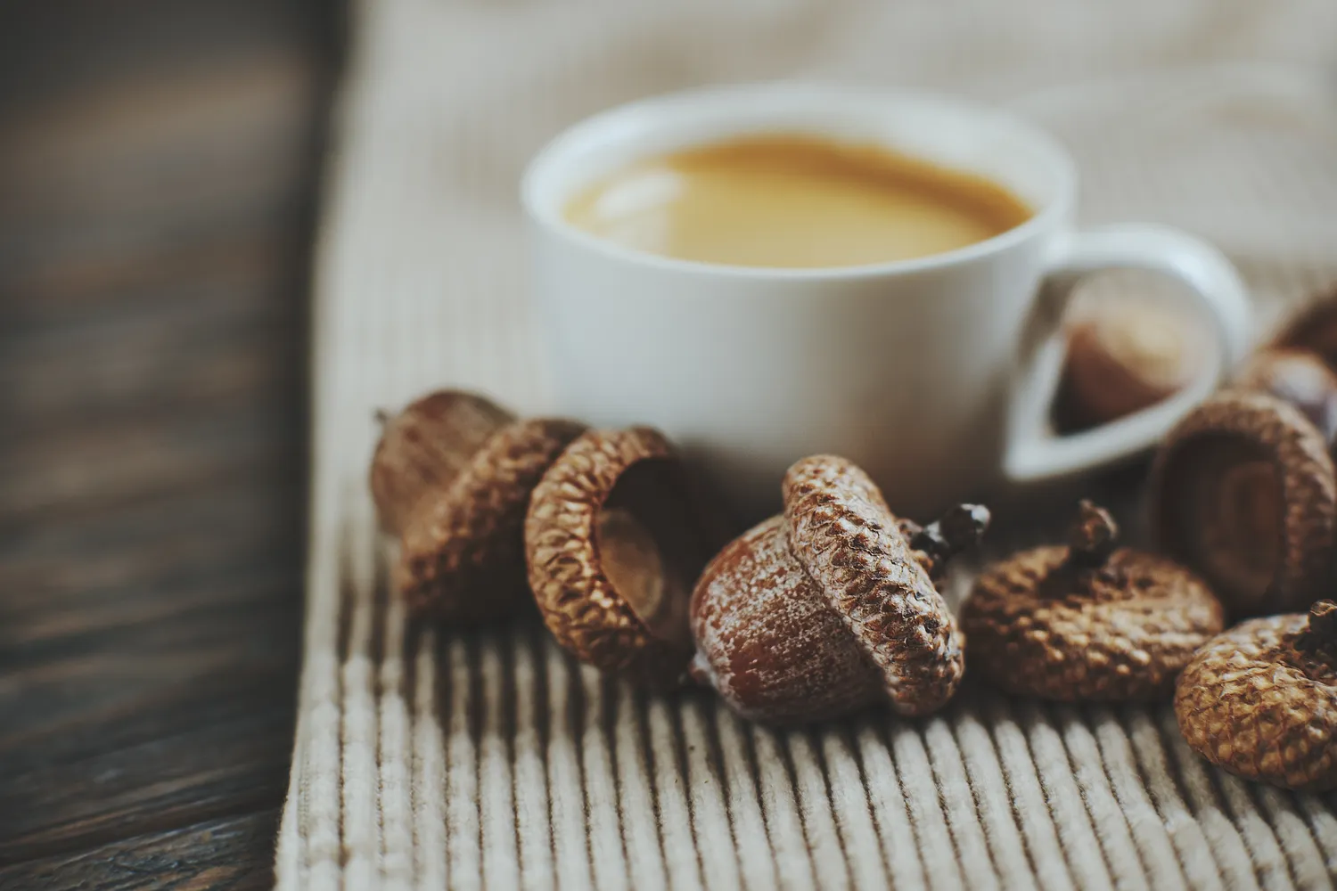 Gilių kava