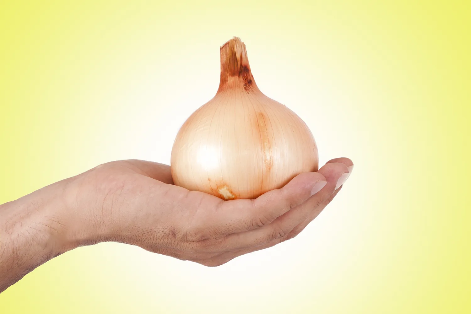 Kaip atsikratyti svogūnų kvapo?