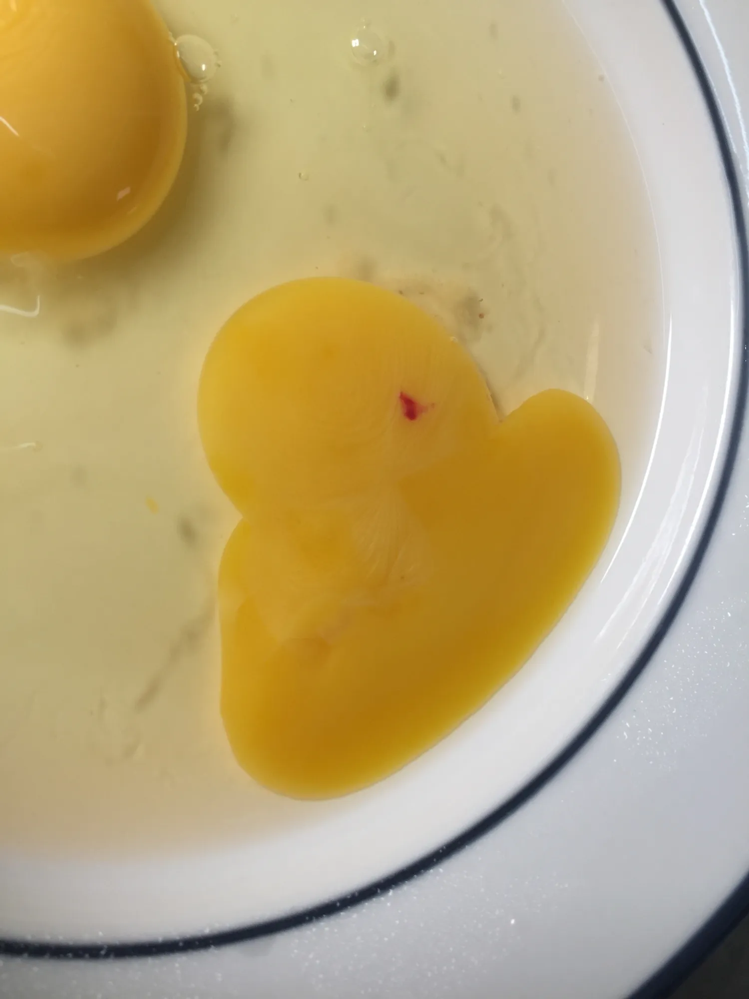 Kraujas kiaušinyje?