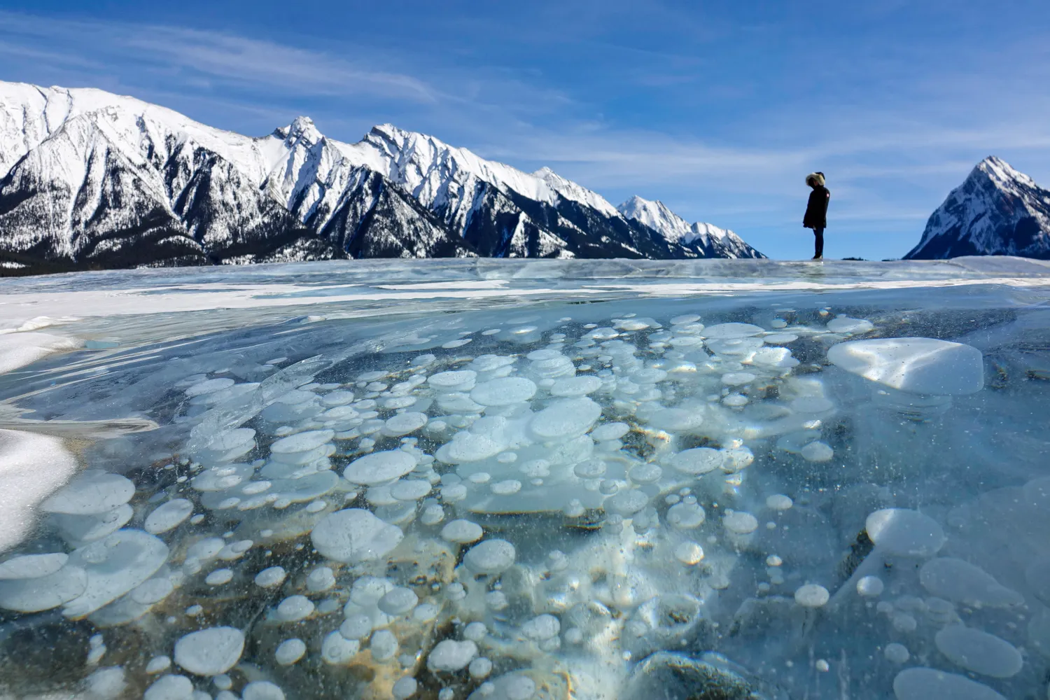 Kas ta Arkties „metano bomba“ ir kodėl visi jos bijojo?