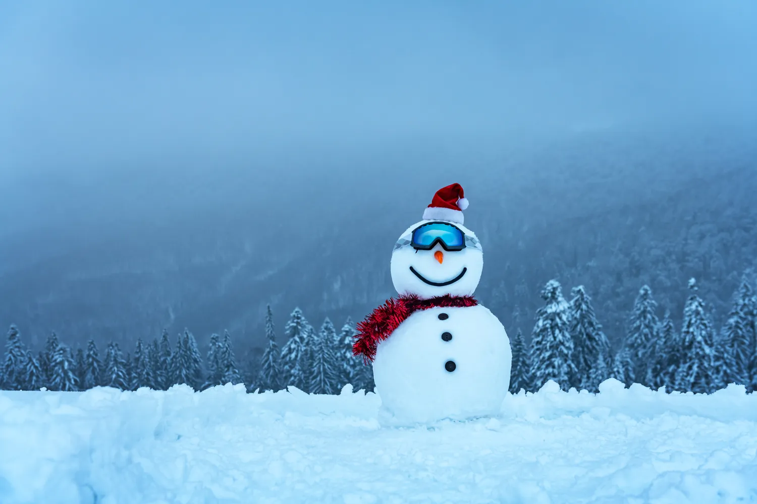 Žiema patinka ne visiems