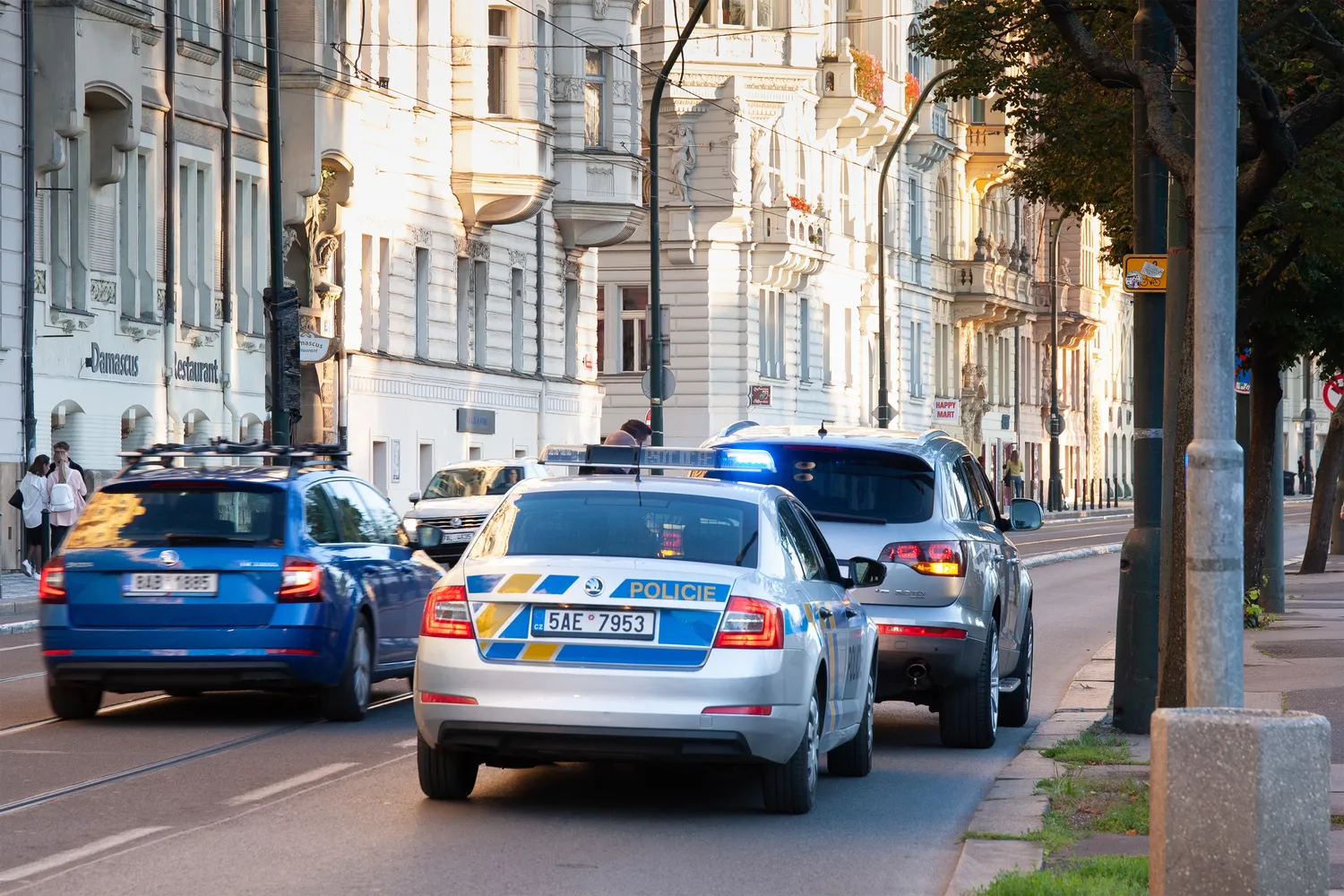 Policija Čekijoje / ZhakYaroslav / Shutterstock.com